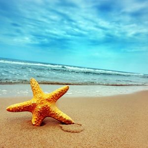 June at the Sea - Discount!